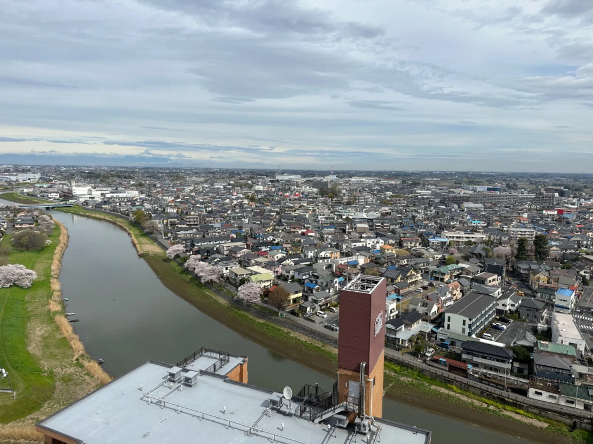 マンションから戸建てに引っ越したい！？